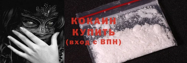 сатива Вязьма
