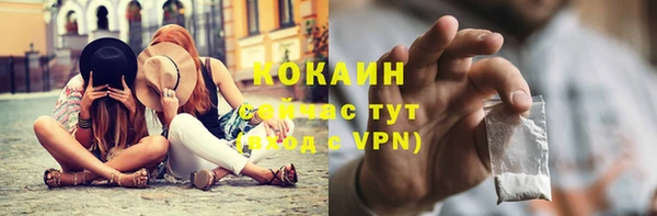 сатива Вязьма
