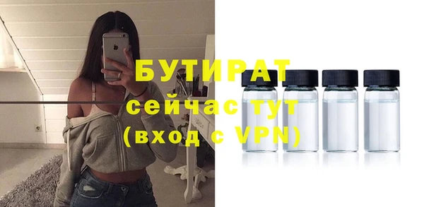 сатива Вязьма