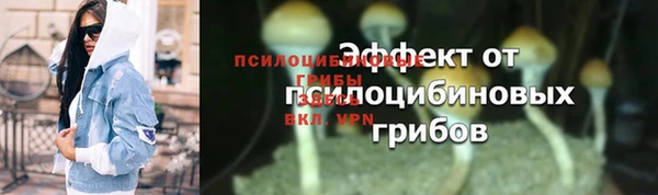 PSILOCYBIN Вязники