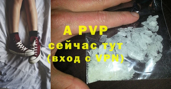 PSILOCYBIN Вязники