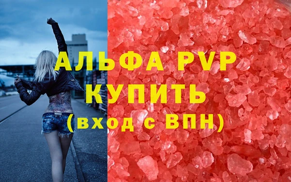 PSILOCYBIN Вязники