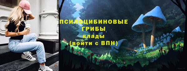 мескалин Вяземский