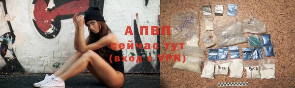 PSILOCYBIN Вязники