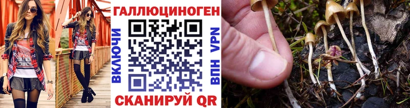 Псилоцибиновые грибы Magic Shrooms  наркота  даркнет состав  Владикавказ 
